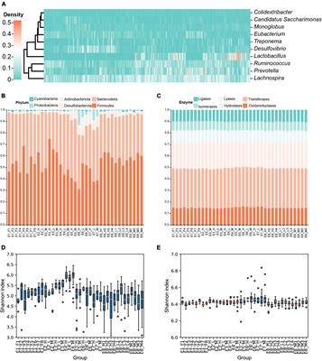 High diversity, close genetic relatedness, and favorable living conditions benefit species co-occurrence of gut microbiota in Brandt’s vole